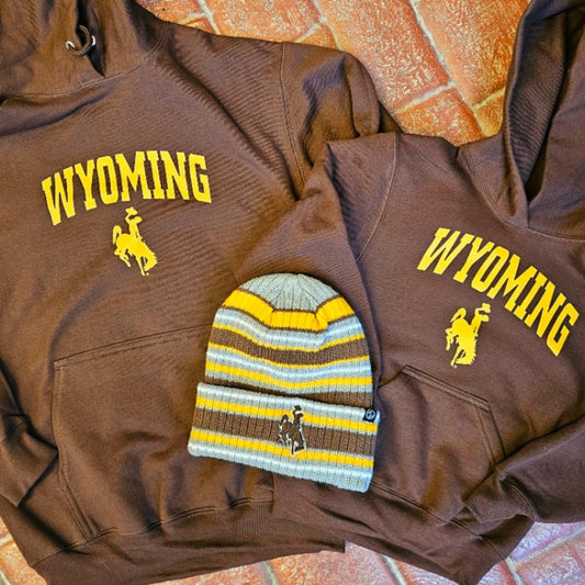 Wyoming Brown and Gold Hoodie, Adult